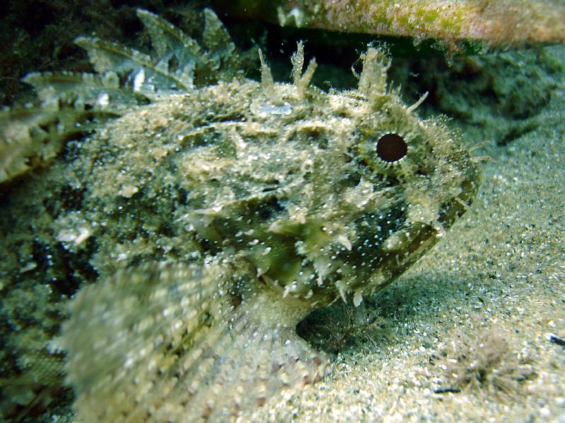 2010-09-09 11-30-53 Lisa.JPG